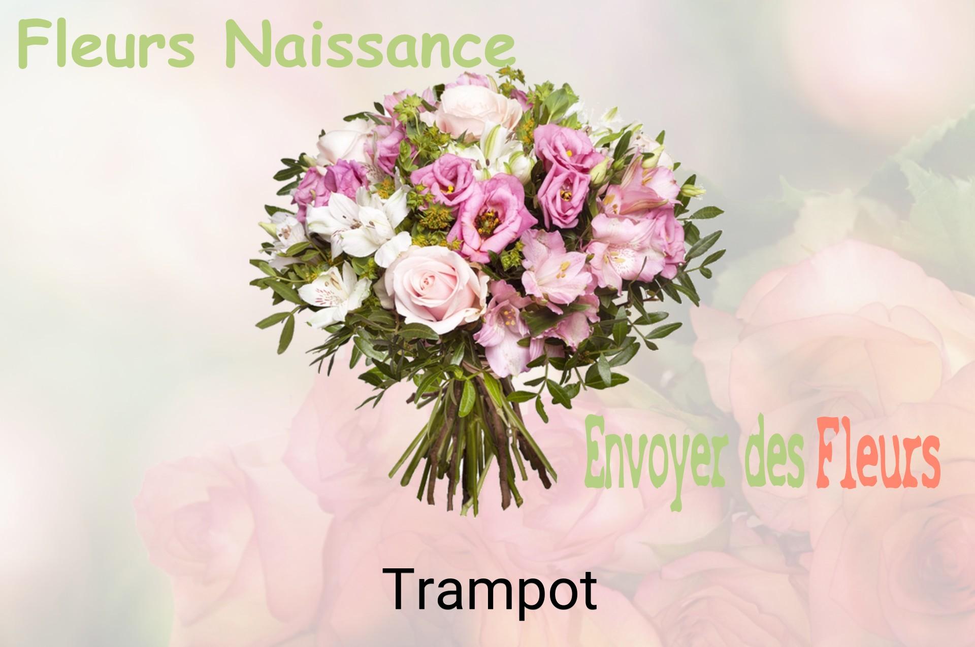 Bouquet de fleurs de naissance livré à Trampot