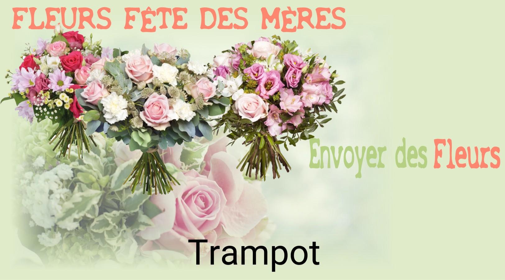 Bouquet de Fête des Mères livré à Trampot